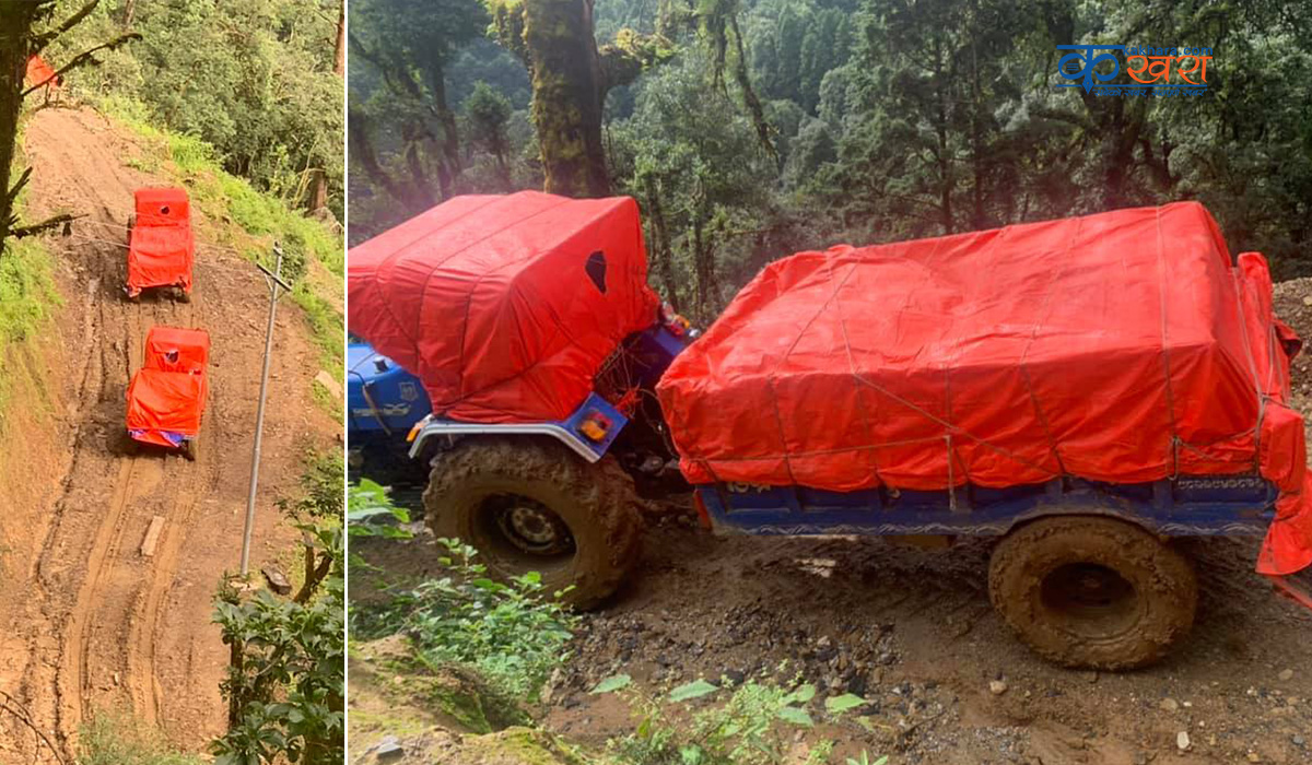 मध्यबर्खामा स्यालाखदीमा चामल ढुवानी 